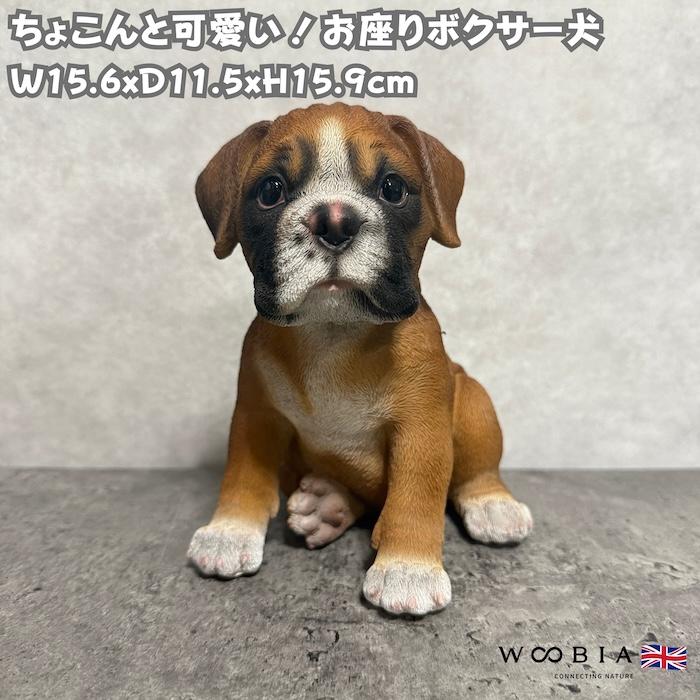 犬 置物 小さい かわいい 高さ15.9cm お座りボクサー犬 動物 玄関 インテリア オブジェ woobia ウービア | 