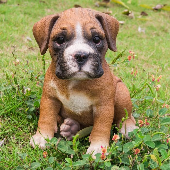 犬 置物 小さい かわいい 高さ15.9cm お座りボクサー犬 動物 玄関 インテリア オブジェ woobia ウービア |  | 01