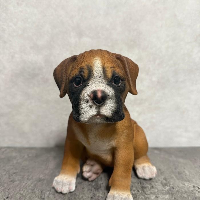 犬 置物 小さい かわいい 高さ15.9cm お座りボクサー犬 動物 玄関 インテリア オブジェ woobia ウービア |  | 03