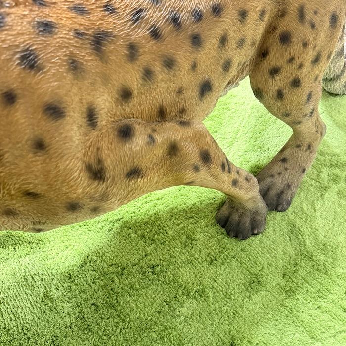 置物 動物 歩くチーター 特大 高さ49.5cm おしゃれ 大きい 玄関 インテリア 庭 ガーデン かわいい オブジェ 北欧 リアル 大型 面白い ウービア woobia |  | 14