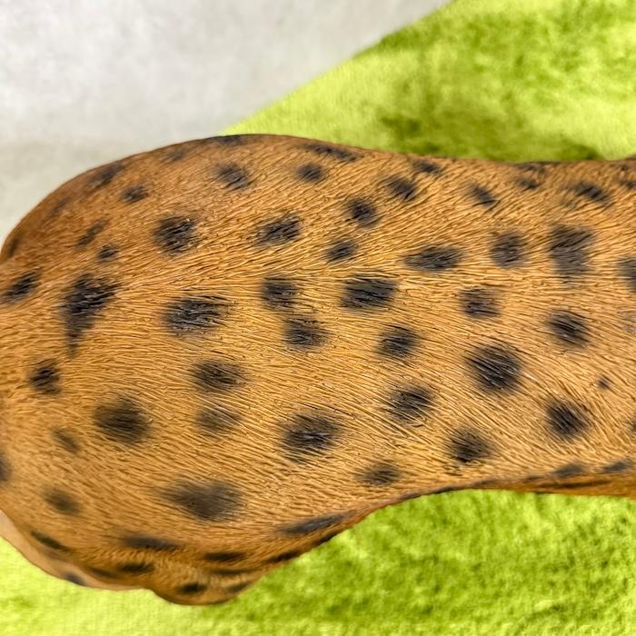 置物 動物 歩くチーター 特大 高さ49.5cm おしゃれ 大きい 玄関 インテリア 庭 ガーデン かわいい オブジェ 北欧 リアル 大型 面白い ウービア woobia |  | 16
