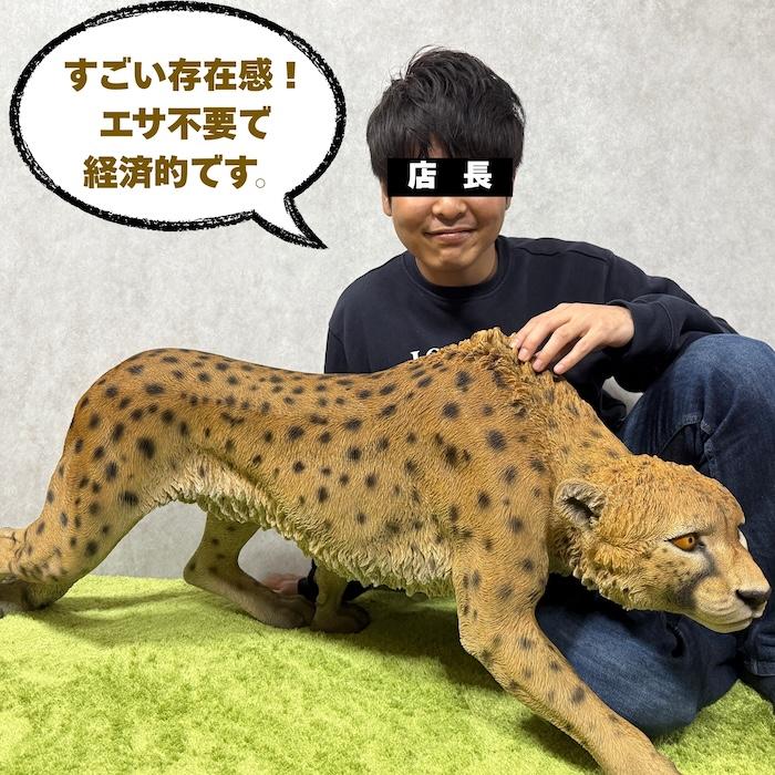 置物 動物 歩くチーター 特大 高さ49.5cm おしゃれ 大きい 玄関 インテリア 庭 ガーデン かわいい オブジェ 北欧 リアル 大型 面白い ウービア woobia |  | 02