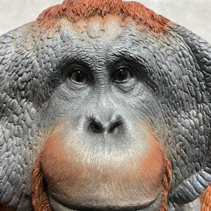 置物 シンプルデカオラウータン 高さ40cm かわいい 動物 玄関 おしゃれ