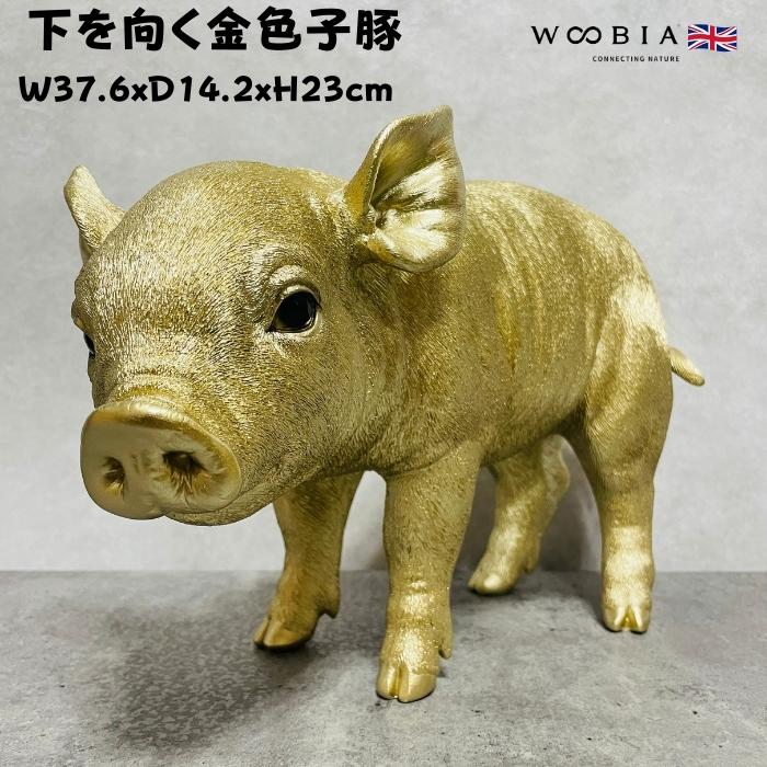 置物 動物 下を向く金色子豚 ゴールド 金色 縁起物 高さ23cm woobia