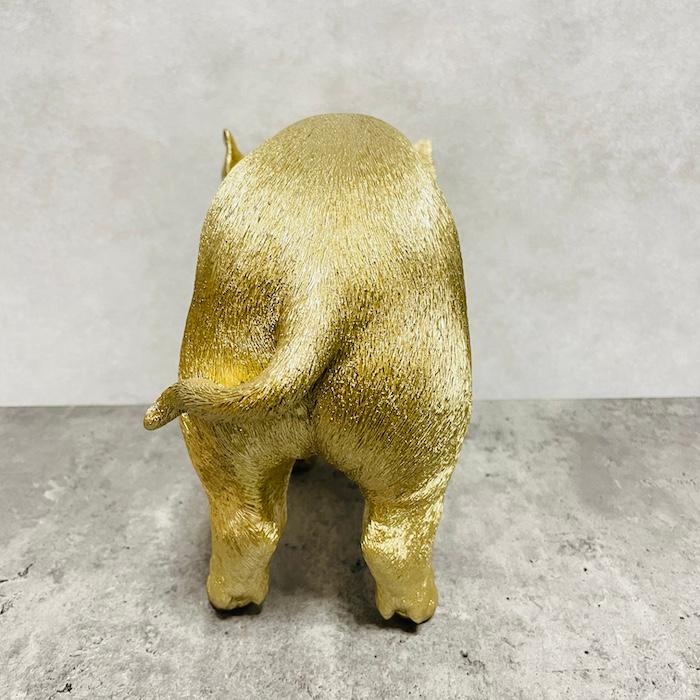 置物 動物 下を向く金色子豚 ゴールド 金色 縁起物 横幅37.6cm woobia