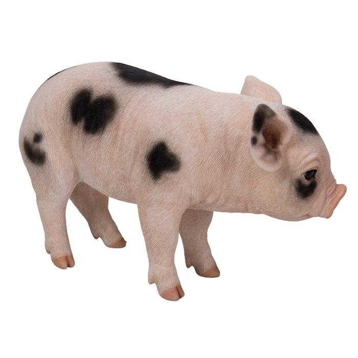 子豚のコックさん 豚の置物 置物 庭 玄関 子豚のコックさん 豚の置物 置物 庭 玄関 【公式通販】