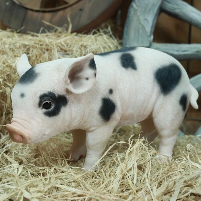 置物 動物 ピンク・スポットの立つ子豚 ブタグッズ 高さ23.cm woobia 