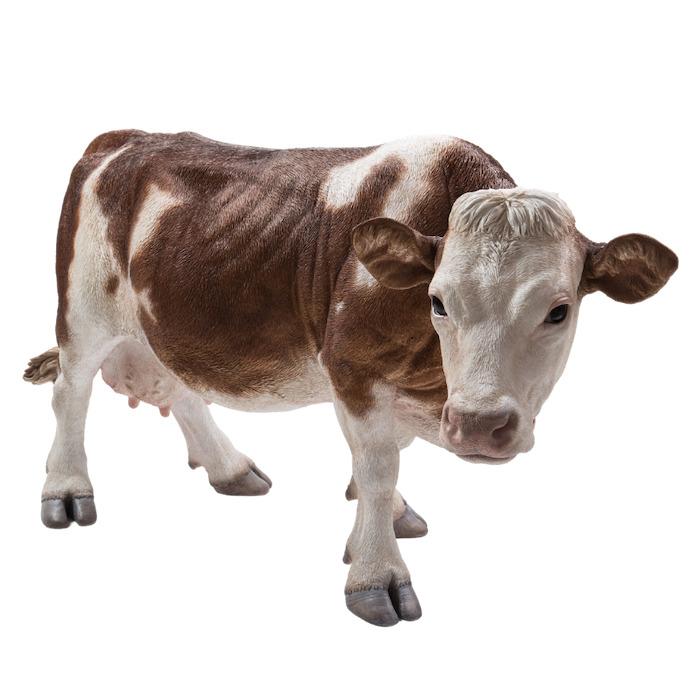 置物 動物 立っている牛 ブラウン 特大 高さ70.5cm おしゃれ 大きい