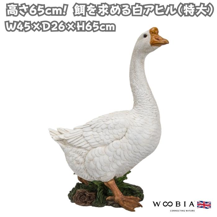 置物 鳥 かわいい 特大オブジェ 高さ65cm 北欧 動物 餌を求める白