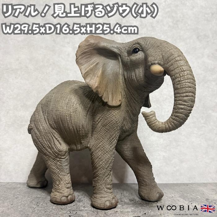 WOOBIA（ウービア） 置物 動物 見上げるゾウ 小 横幅29.5cm 象 縁起物