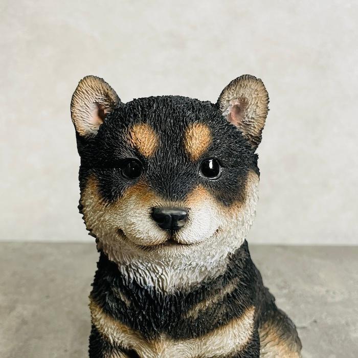置物 犬 かわいい 動物 玄関 黒柴の子犬 イヌ アニマル おしゃれ