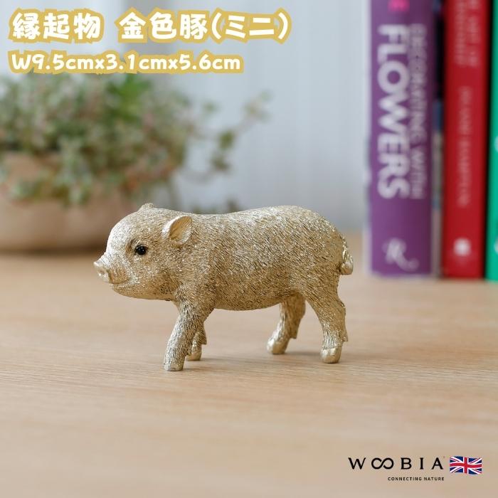 置物 かわいい 動物 玄関 金の豚 ミニ ゴールデンピッグ おしゃれ