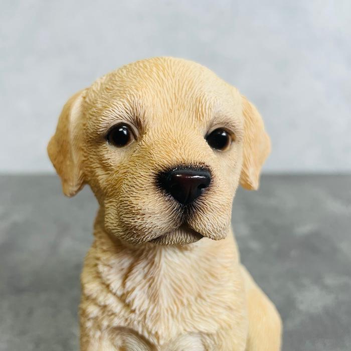 ☆犬インテリア☆ 楽天市場】ペット用ソファ （ブラウン） ニトリ メーカー直送