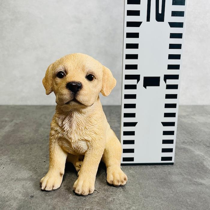 ラブラドール置物 置物 犬 かわいい 動物 玄関 頭を上げるラブラドールレトリバー
