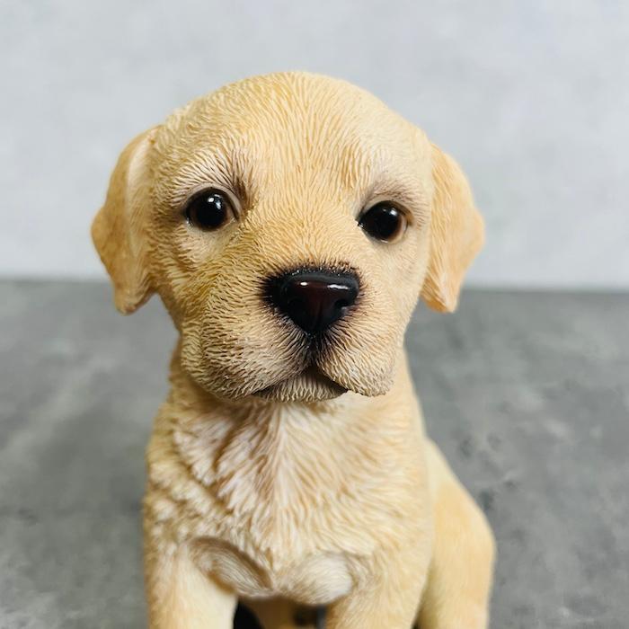 置物 犬 かわいい 動物 玄関 頭を上げるラブラドールレトリバー