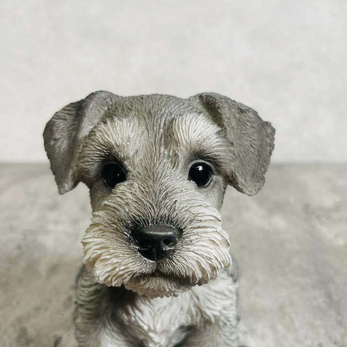 置物 犬 かわいい 動物 玄関 お座りシュナウザー おしゃれ 可愛い インテリア ガーデンオーナメント  woobia ウービア |  | 03