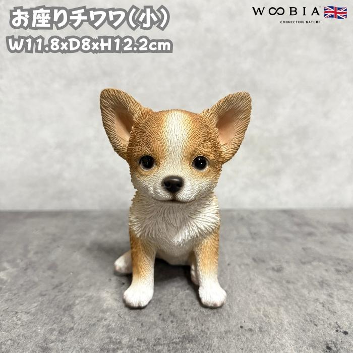 犬 置物 おしゃれ お座りチワワ 小 茶白 かわいい 動物 インテリア オブジェ ガーデンオーナメント woobia ウービア | 