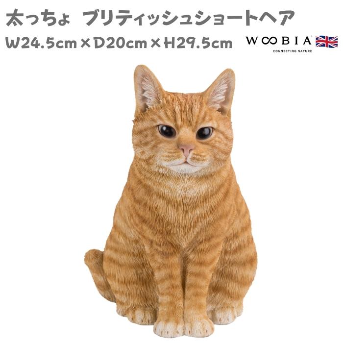 WOOBIA（ウービア） 置物 動物 かわいい 太っちょ ブリティッシュ
