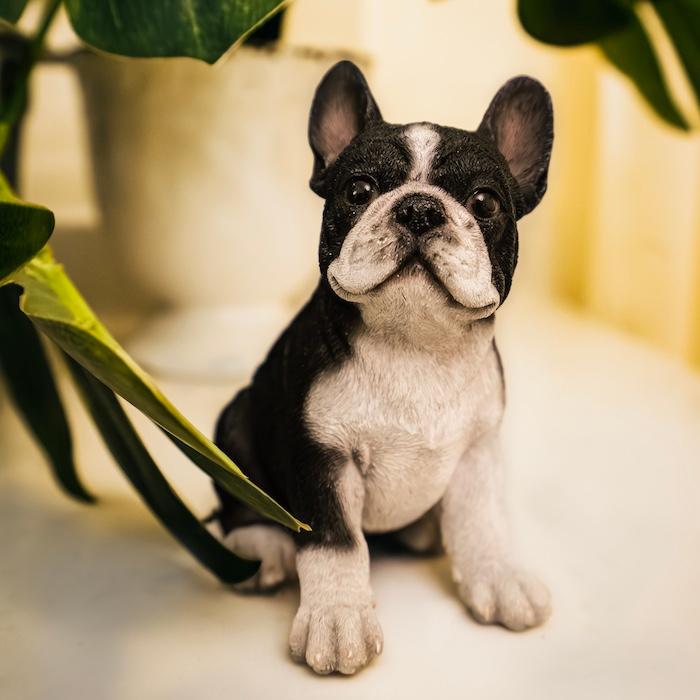 置物 犬 かわいい 動物 玄関 頭を上げる黒白フレンチブルドッグ リアル