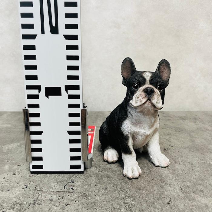 置物 犬 かわいい 動物 玄関 頭を上げる黒白フレンチブルドッグ リアル