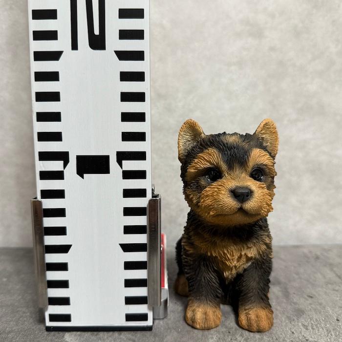 犬 置物 おしゃれ お座りヨークシャー・テリア 小 かわいい 動物 インテリア オブジェ ガーデンオーナメント woobia ウービア |  | 02