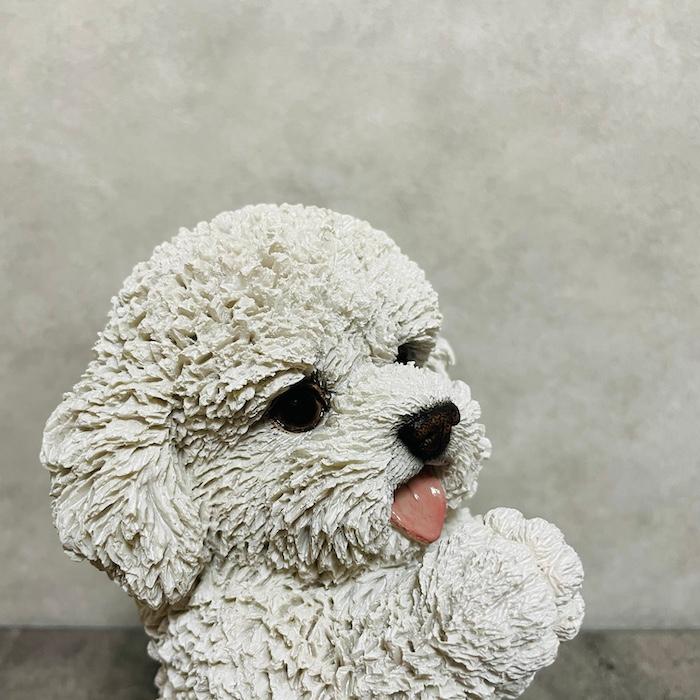 置物 犬 高さ22cm かわいい 動物 玄関 おねだりプードル 白 おしゃれ