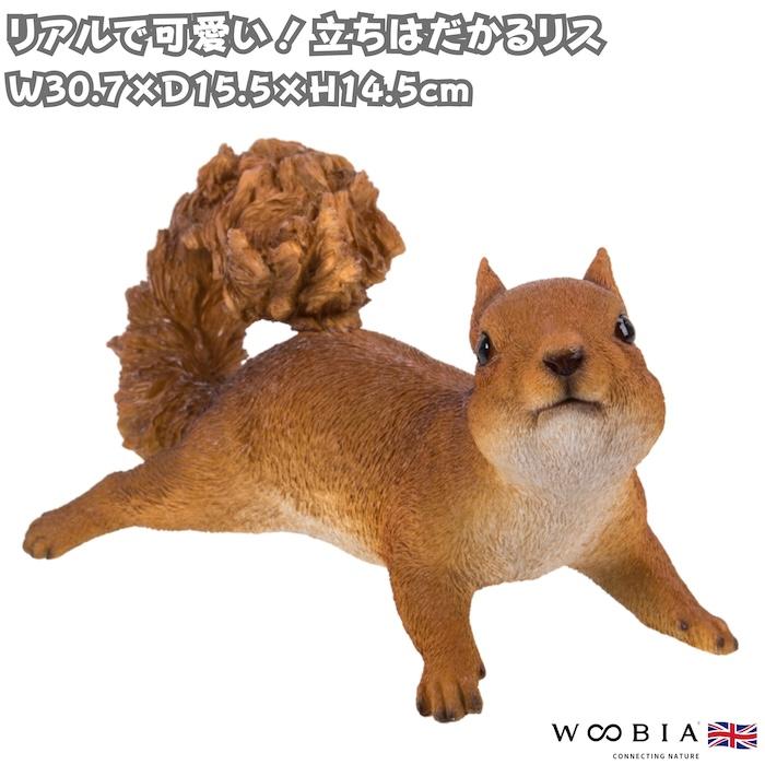 WOOBIA（ウービア） 置物 リス 立ちはだかるリス 幅30.7cm woobia りす