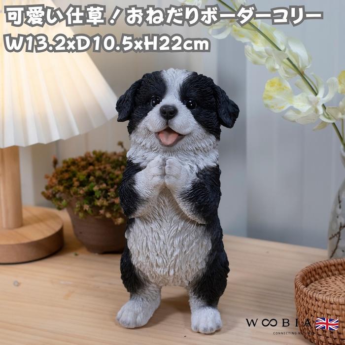 置物 犬 かわいい 動物 玄関 おねだりボーダーコリー 高さ22cm イヌ おしゃれ インテリア 庭 ガーデン woobia ウービア | 