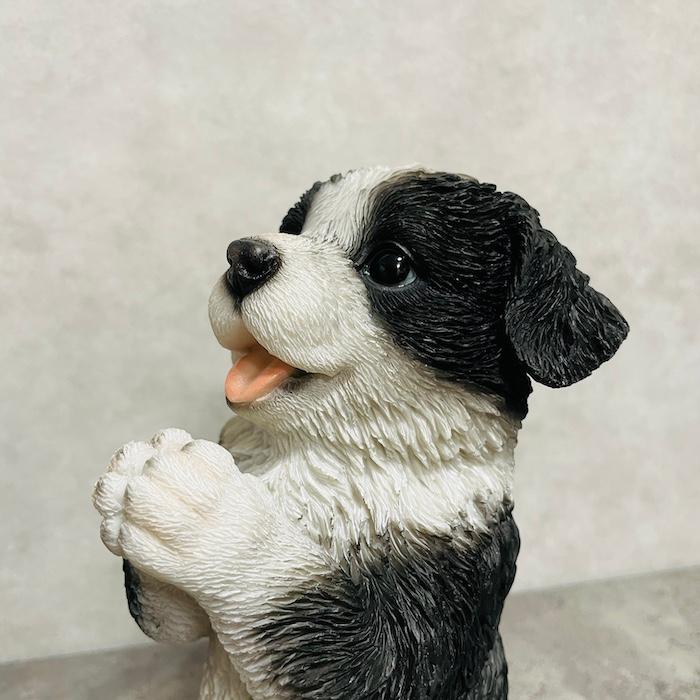 置物 犬 かわいい 動物 玄関 おねだりボーダーコリー 高さ22cm イヌ おしゃれ インテリア 庭 ガーデン woobia ウービア |  | 07