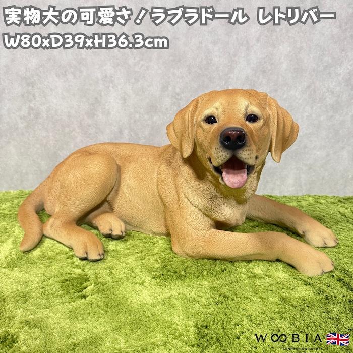 WOOBIA（ウービア） 犬 置物 大型 動物 うつぶせ ラブラドール