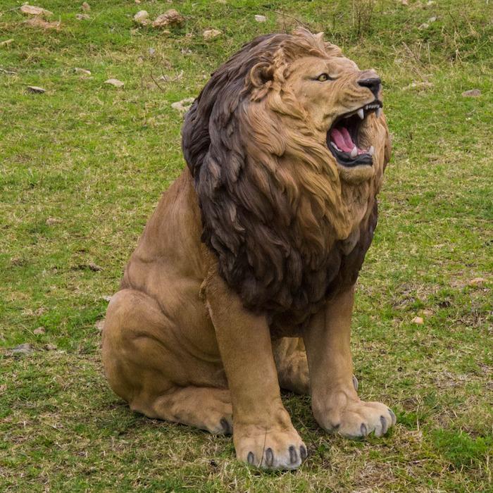 置物 動物 吠えるライオン 特大 高さ108cm おしゃれ 大きい 玄関 置物 動物 吠えるライオン 特大 高さ108cm おしゃれ 大きい 玄関