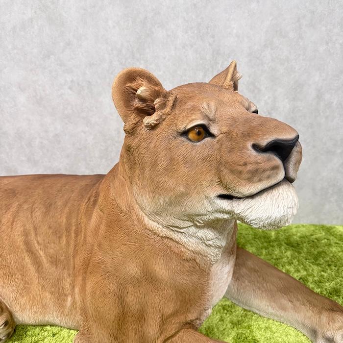 置物 動物 お座りメスライオン 大 横幅116cm おしゃれ 大きい 玄関