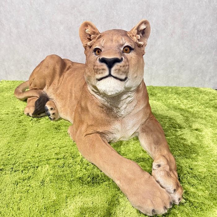 置物 動物 お座りメスライオン 大 横幅116cm おしゃれ 大きい 玄関