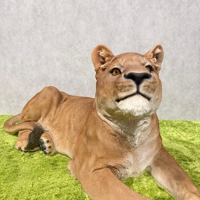 置物 動物 お座りメスライオン 大 横幅116cm おしゃれ 大きい 玄関