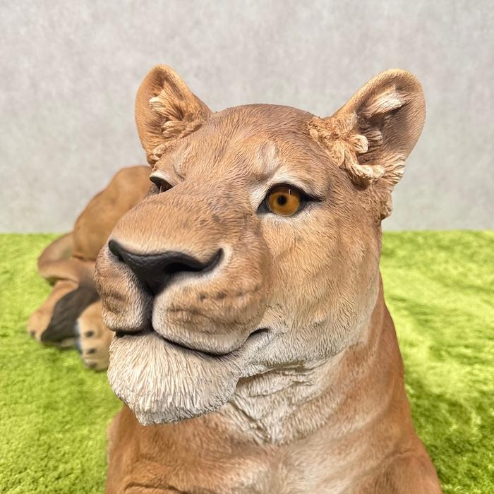 置物 動物 お座りメスライオン 大 横幅116cm おしゃれ 大きい 玄関