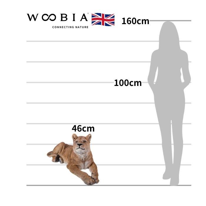 置物 動物 お座りメスライオン 大 高さ46cm おしゃれ 大きい 玄関