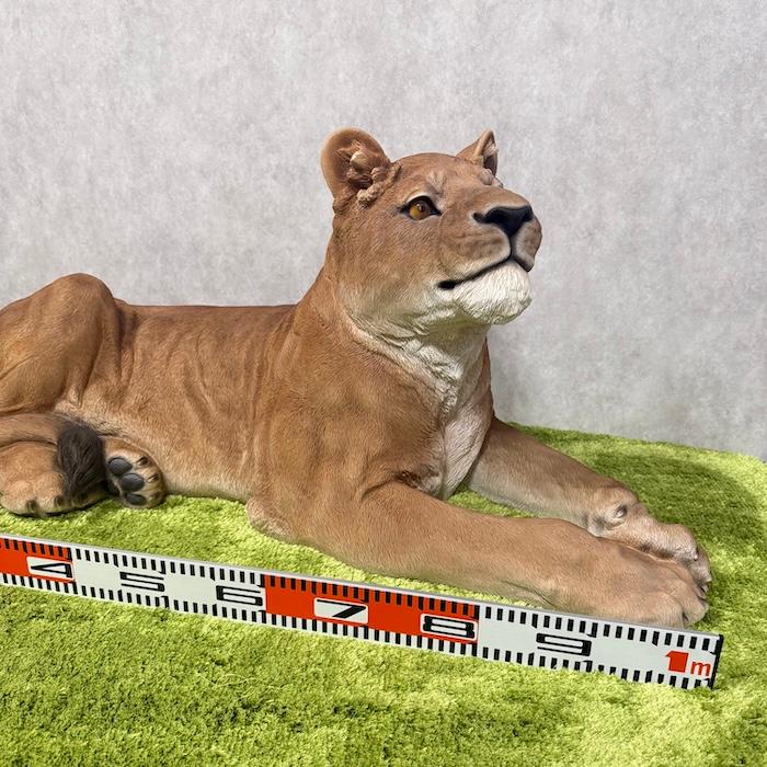 置物 動物 お座りメスライオン 大 横幅116cm おしゃれ 大きい 玄関