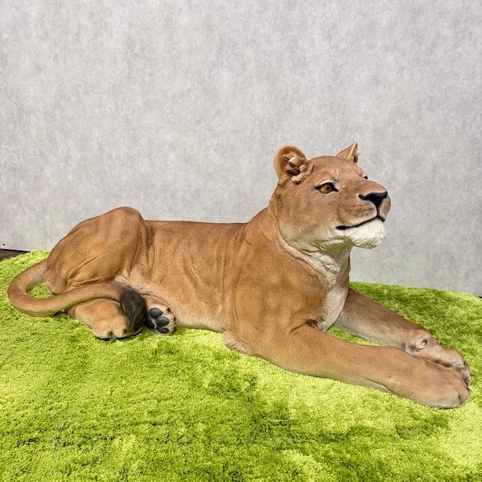 置物 動物 お座りメスライオン 大 横幅116cm おしゃれ 大きい 玄関