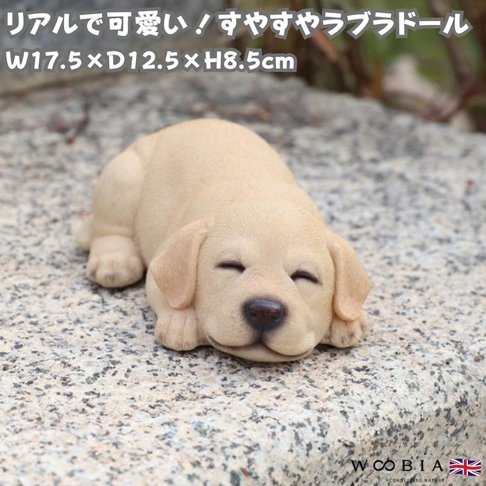 WOOBIA（ウービア） 犬 置物 すやすやラブラドールレトリバー 眠る
