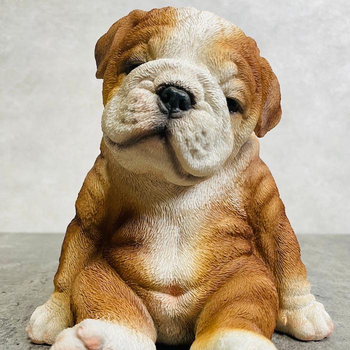 WOOBIA（ウービア） 置物 犬 かわいい 動物 玄関 居眠りするブルドッグ