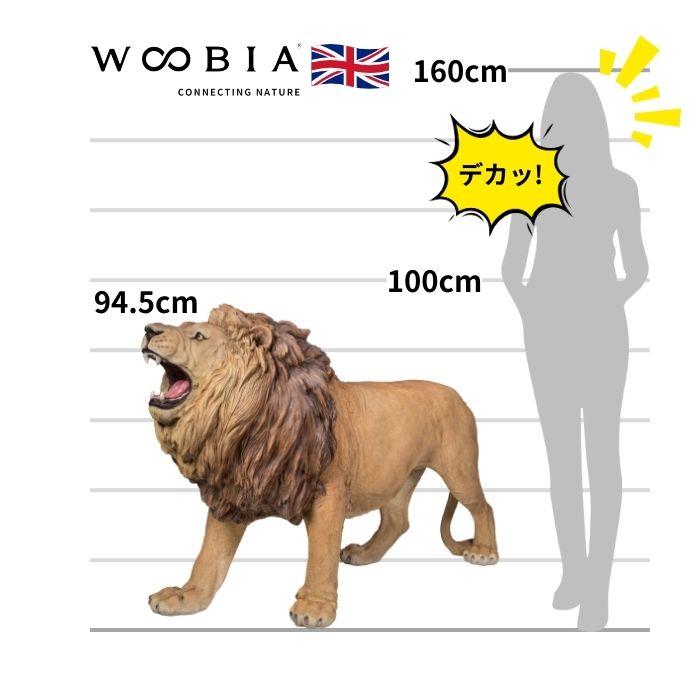 置物 動物 吠えるライオン 特大 高さ94.5cm おしゃれ 大きい 玄関