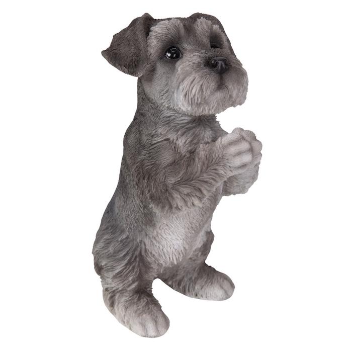 犬 置物 高さ21cm おしゃれ おねだりシュナウザー かわいい 動物 インテリア オブジェ オーナメント woobia ウービア |  | 12