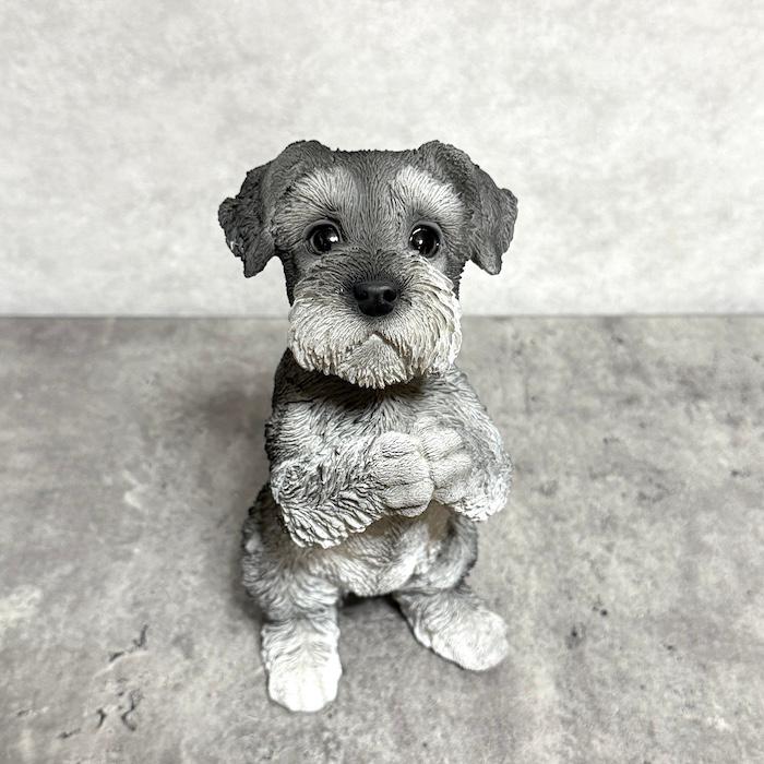 犬 置物 高さ21cm おしゃれ おねだりシュナウザー かわいい 動物
