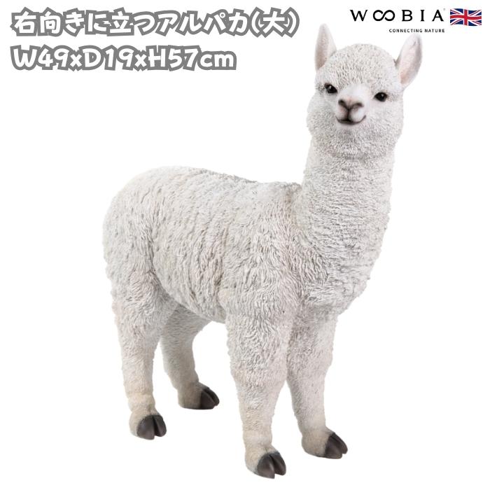 置物 動物 右向きに立つアルパカ 大 高さ57cm おしゃれ 大きい 玄関