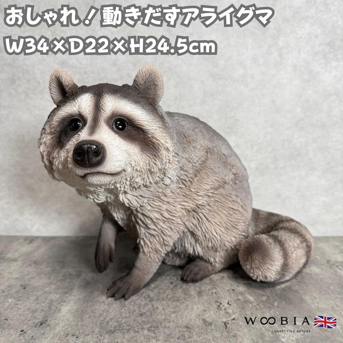 置物 動物 動きだすアライグマ 横幅34cm オブジェ woobia おしゃれ