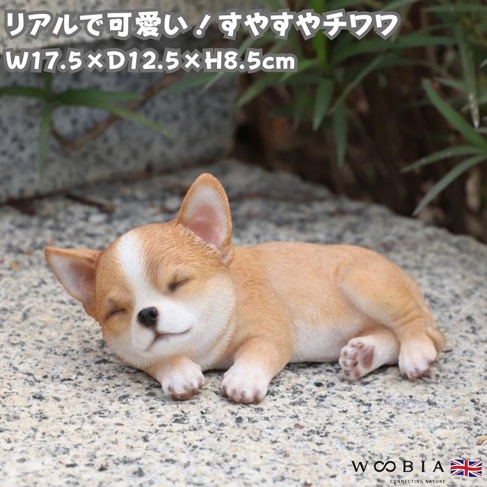 犬 置物 すやすやチワワ 眠る 横幅17.5cm WOOBIA リアル 可愛い おしゃれ オブジェ 卓上 インテリア 玄関 ギフト 動物 雑貨 癒し | 