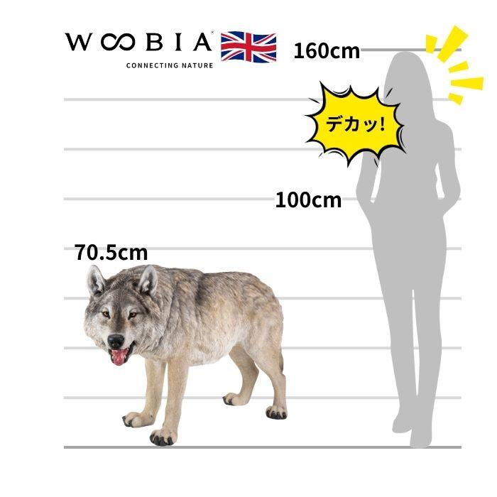 置物 動物 振向きオオカミ 特大 横幅122cm 狼 おしゃれ 大きい 玄関