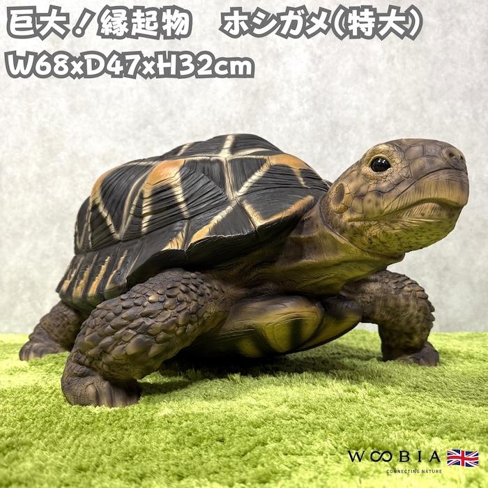 動物 大きい 亀 の 置物 亀置物 亀 の 遊び 道具 かわいい 亀 置物