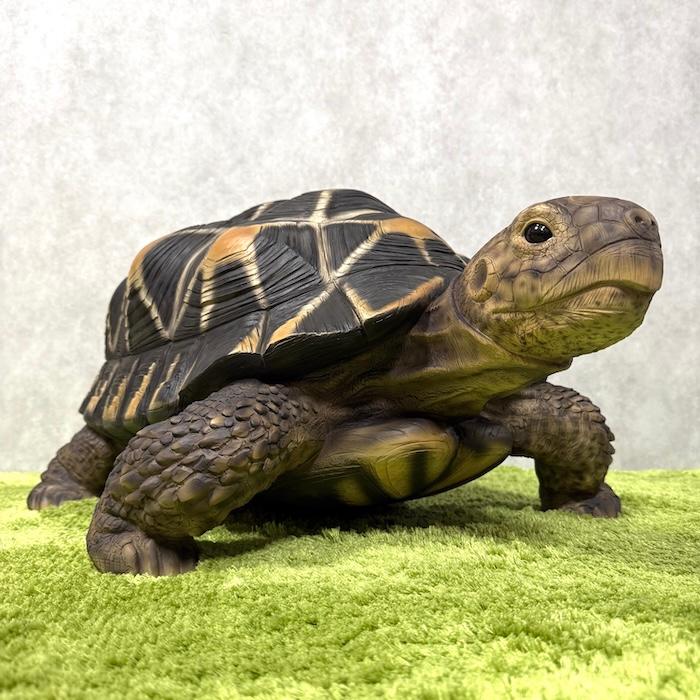 WOOBIA（ウービア） 置物 動物 ホシガメ 特大 亀グッズ 体長68cm