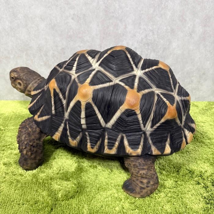 WOOBIA（ウービア） 置物 動物 ホシガメ 特大 亀グッズ 体長68cm